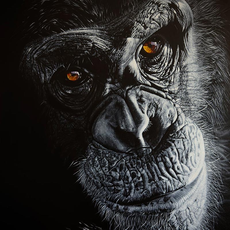 Présentation de l'artiste peintre Nancy Lavoie