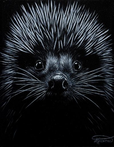 Tableau Nancy Lavoie - Douceur épineuse